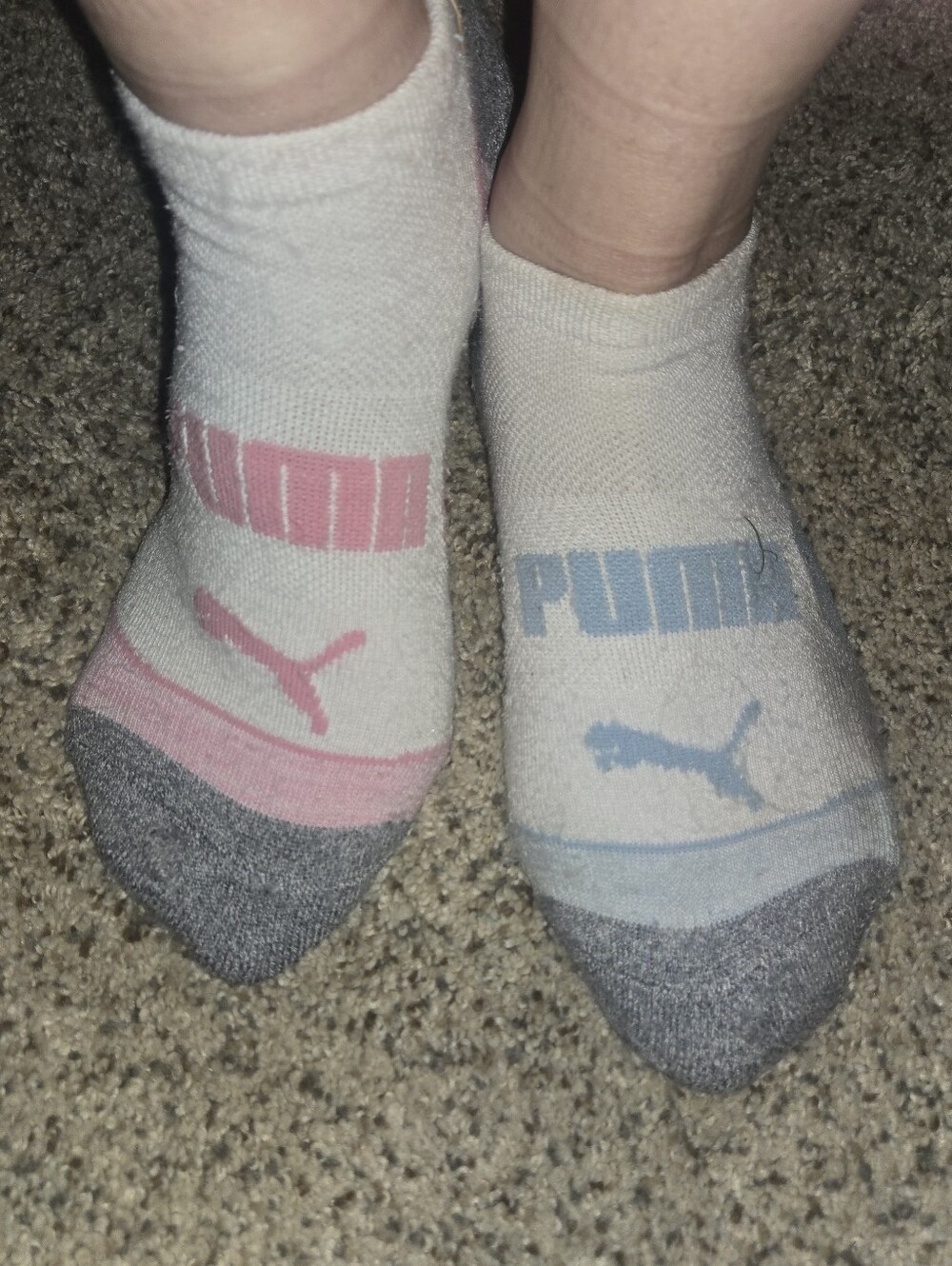 WW Puma Low-Cut Ankle Athletic Socks White with Pink & Blue